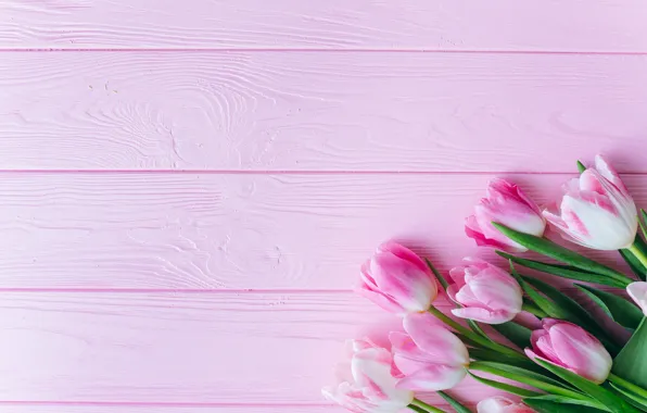 Picture flowers, tulips, pink, fresh, wood, pink, flowers, beautiful