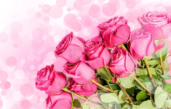 Leaves, glare, background, roses, bouquet, stem, pink, buds