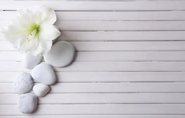 Picture flower, stones, Board