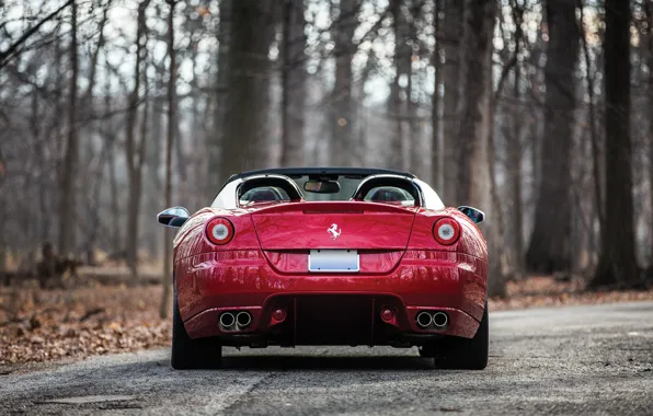 Picture Ferrari, rear, SA Aperta, Ferrari SA Aperta