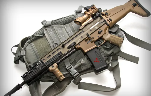 Picture weapons, optics, fn scar 16s
