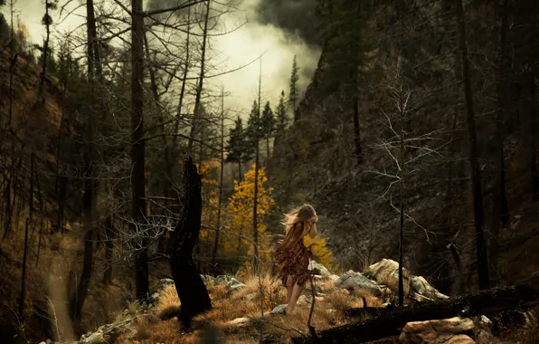 Forest, girl, stones, smoke, Lichon