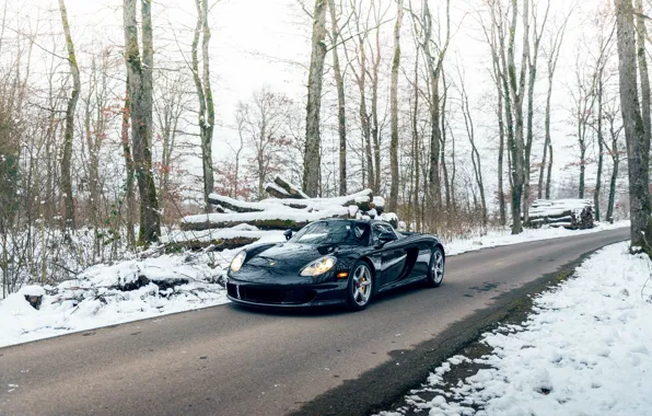 Picture car, Porsche, trees, Porsche Carrera GT