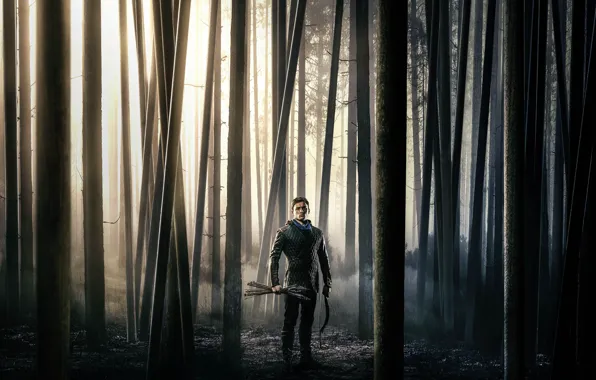 Forest, trees, fog, bow, arrows, adventure, action, poster