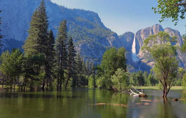 Picture forest, trees, mountains, river, rocks, waterfall, USA, Yosemite