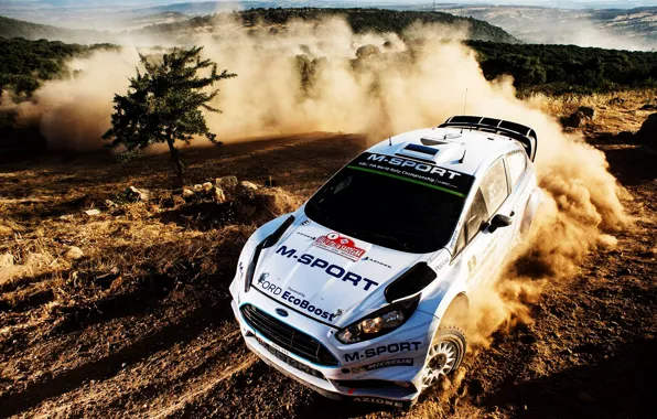 Ford, Ford, WRC, Rally, Rally, Fiesta, There Miss