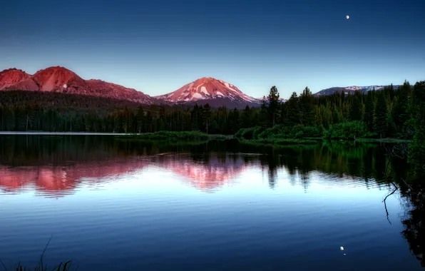 Picture forest, mountains, lake, the evening