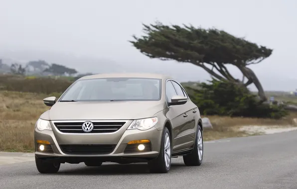Volkswagen, car Wallpaper, passat