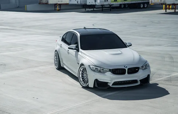 BMW, White, Sight, F81