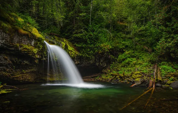 Forest, river, waterfall, Gifford Pinchot National Forest, Washington State, Washington, Iron River, Iron Creek Falls