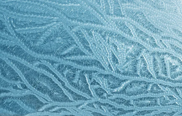Cold, winter, frost, glass, snow, line, pattern, ice