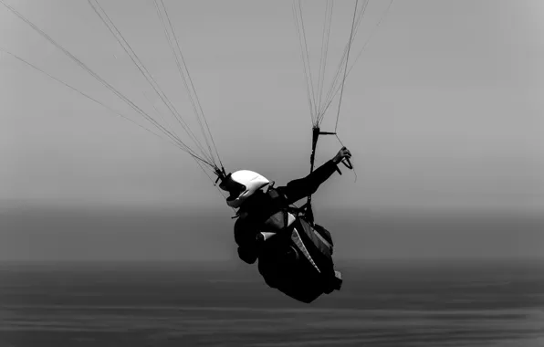 Picture sea, pilot, paraglider, extreme sports