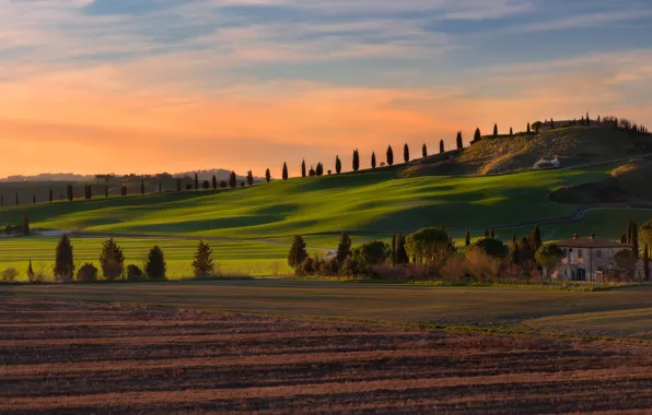 Field, summer, the sky, clouds, trees, mountains, nature, comfort