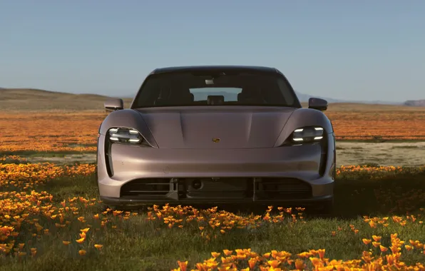 Field, flowers, Porsche, Turbo S, Cross Turismo, Taycan, Porsche Taycan Turbo S Cross Turismo