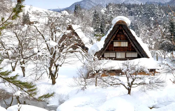 Winter, snow, house, Japan, the island of Honshu, Gokayama, Shirakawa-go