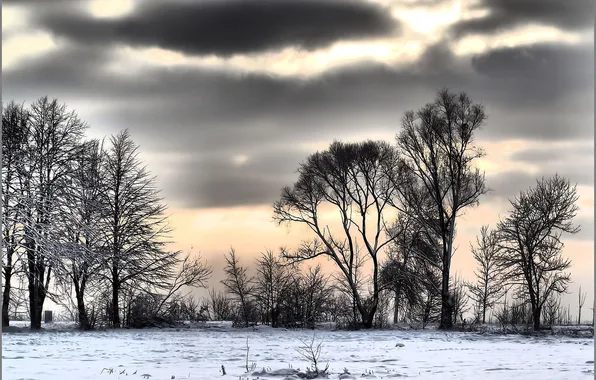 Winter, snow, trees, clouds