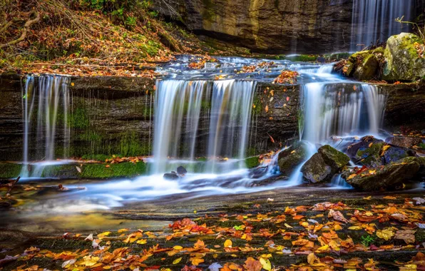 Wallpaper autumn, stream, waterfall, fallen leaves, North Carolina ...