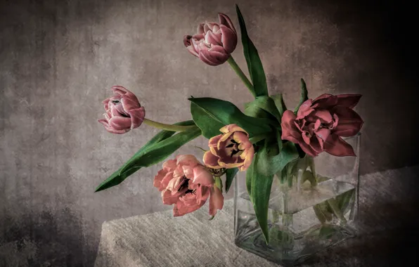 Bouquet, tulips, vase, tablecloth