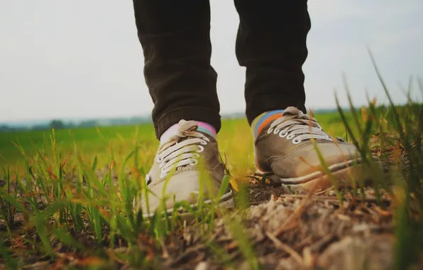 Grass, sneakers, laces