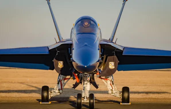 Fighter, the airfield, F-18, Blue Angels