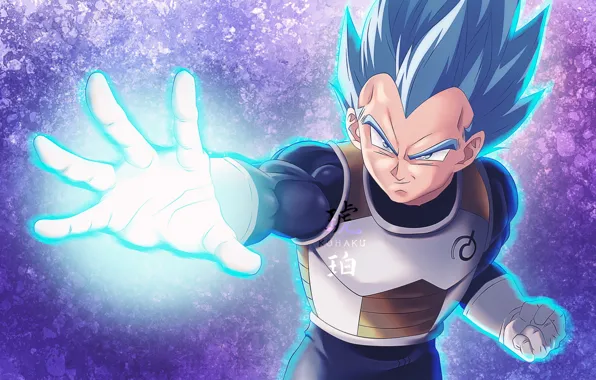 Guy, Dragon ball, Dragonball