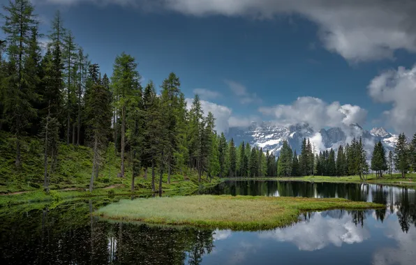 Forest, summer, the sky, clouds, lake, reflection, blue, shore