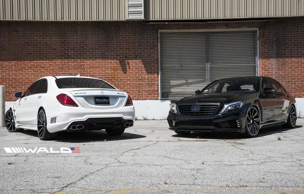 TUNING, WALD, MERCEDES, BENZ, BLACK BISON, W222, S-CLASS