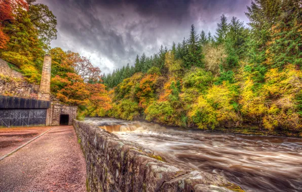 Autumn, forest, trees, river, for, HDR, Scotland, New Lanark