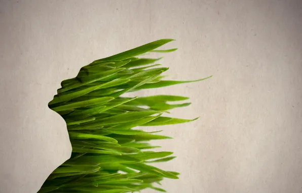 Picture style, background, color, silhouette, form