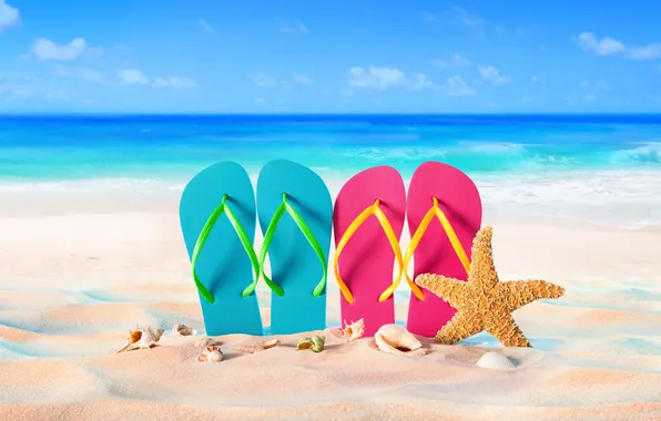 Sand, beach, summer, stars, stay, shell, summer, beach