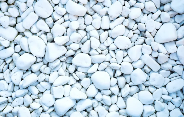 Pebbles, stones, background, white, texture, background, stones, pebbles