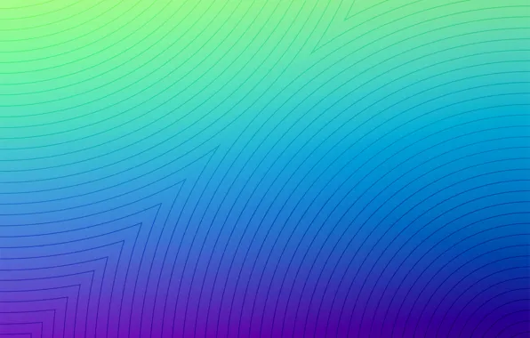 Light, line, color, shade