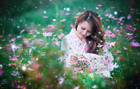 Picture field, girl, flowers