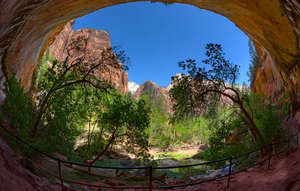 The sky, trees, mountains, rocks, arch, Utah, USA, Zion National Park