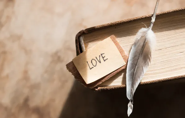 Feathers, book, love, vintage, i love you, heart, romantic, book