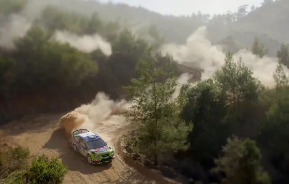 Picture Ford, Dust, Speed, Race, Skid, Tilt-Shift, Focus, WRC