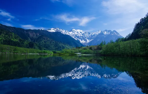 Picture forest, the sky, mountains, lake, shore