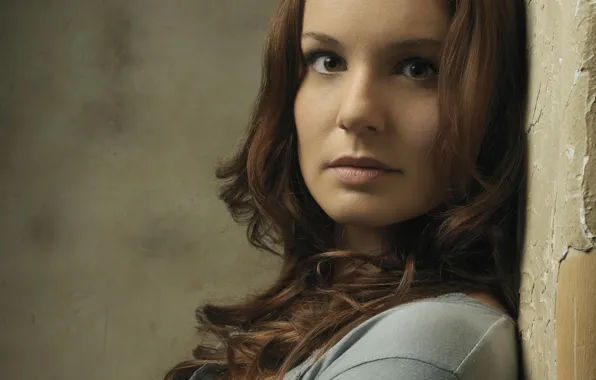 Actress, the walking dead, the walking dead, Sarah Wayne Callis, Sarah Wayne Callies