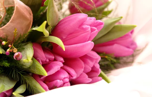 Picture flowers, tulips