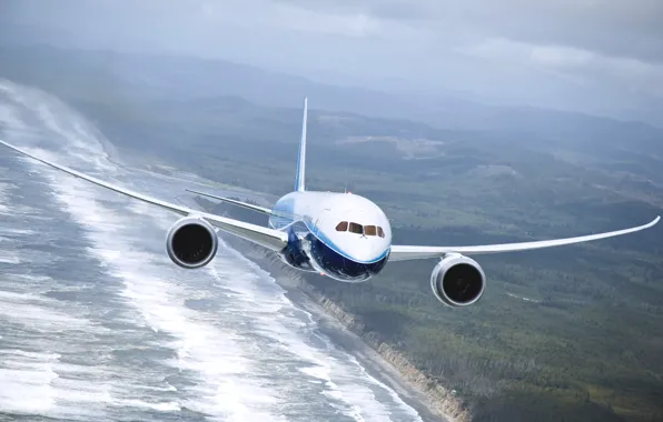 Sea, The plane, Earth, Boeing, Boeing, 737, In The Air, Flies