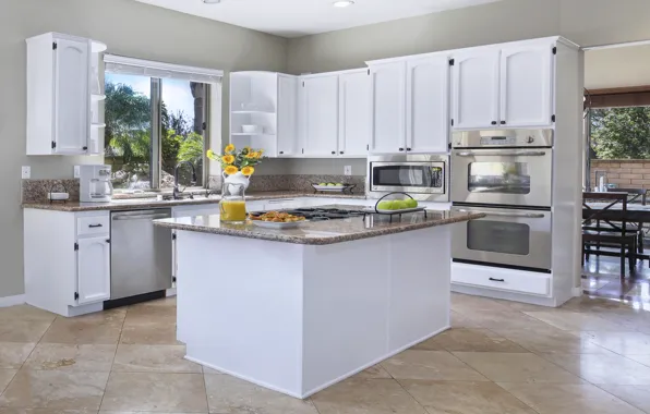 Picture kitchen, furniture, design, kitchen, plate