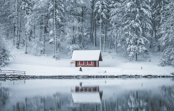 Winter, forest, snow, lake, house, reflection, in the snow, shore