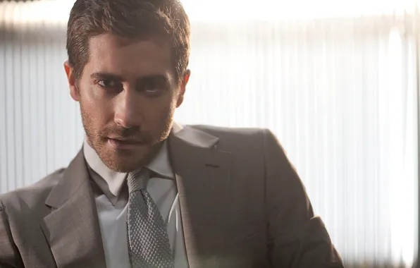 Picture portrait, actor, Jake Gyllenhaal
