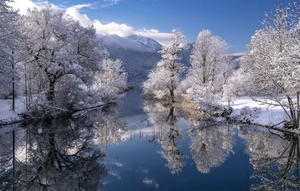 Winter, snow, trees, mountains, reflection, river, Germany, Bayern