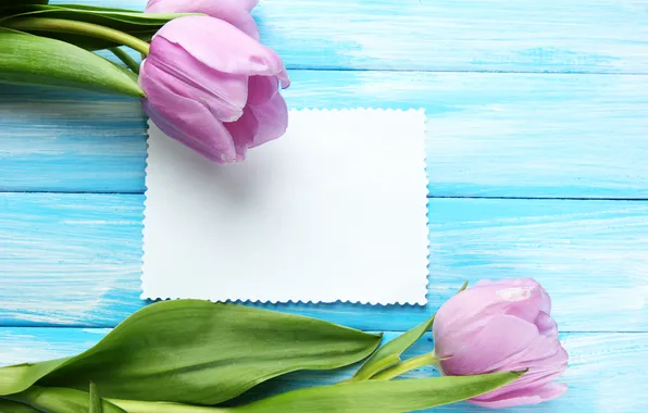 Picture flowers, bouquet, tulips, wood, pink, flowers, tulips, postcard