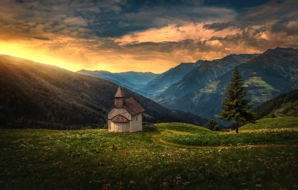 Sunset, mountains, tree, spruce, Alps, Italy, panorama, chapel