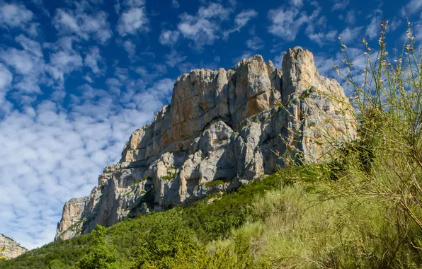 Picture the sky, grass, clouds, landscape, nature, rock, mountain, plants