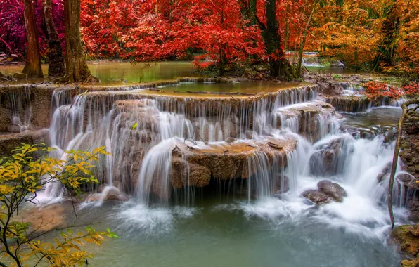 Autumn, forest, stream, stones, waterfall, thresholds