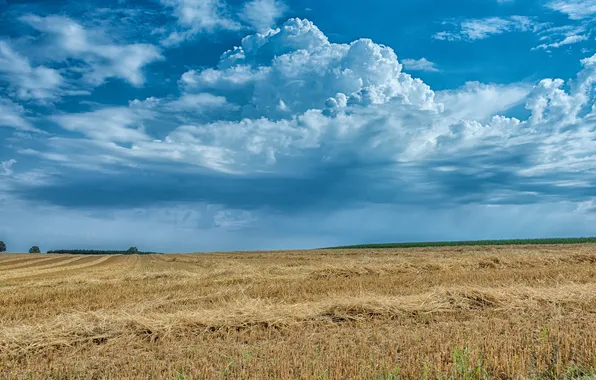 Field, the sky, grass, clouds, blue, dal, horizon, space