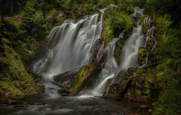 Nature, rocks, shore, waterfall, stream